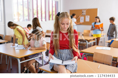 Portrait of clever schoolgirl with copybook in classroom Portrait of clever schoolgirl with copybook in classroom 117434433