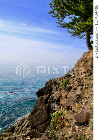 Kaitsumi Shrine, Cape Ryuo, Katsurahama(高知縣高知市) Kaitsumi Shrine, Cape Ryuo, Katsurahama(高知縣高知市) 117434486