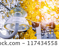 A close-up shot of a glass insulator on a power line, with a blurry background of autumn leaves and 117434558