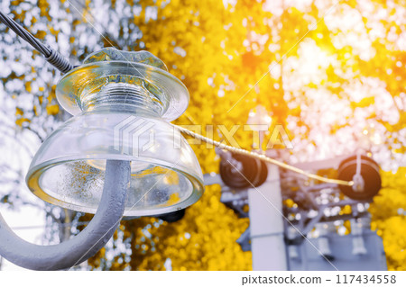 A close-up shot of a glass insulator on a power line, with a blurry background of autumn leaves and 117434558