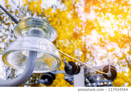 Close-up of a glass insulator on a power line. The insulator is made of clear glass and has a metal 117434564