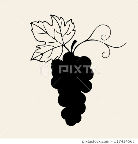 Silhouette of bunch of grapes, on white background. Element design, logo, icon. 117434565