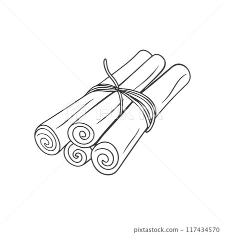 Cinnamon sticks tied with string, doodle drawing isolated on white background. Cinnamon sticks tied with string, doodle drawing isolated on white background. 117434570
