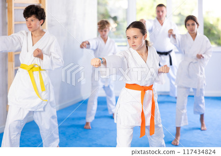 Group of children train karate techniques Group of children train karate techniques 117434824