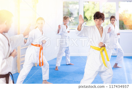 Children students repeat position and perform sequence of punches and painful techniques kata 117434937