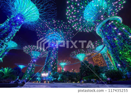 Skyway and Gardens by the Bay at night Skyway and Gardens by the Bay at night 117435255