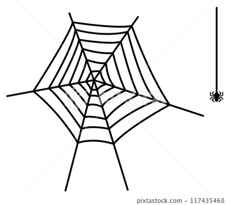 Vector illustration of a spider web Vector illustration of a spider web 117435468