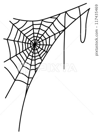 Vector illustration of a spider web 117435469