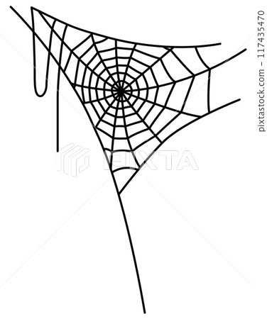 Vector illustration of a spider web Vector illustration of a spider web 117435470