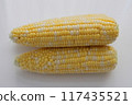 Sweet corn: nutritious, sweet and delicious freshly picked corn 117435521