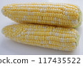 Sweet corn: nutritious, sweet and delicious freshly picked corn 117435522