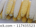 Sweet corn: nutritious, sweet and delicious freshly picked corn 117435523