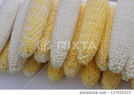新鮮收穫的玉米，營養豐富，香甜可口。 117435523