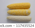 Sweet corn: nutritious, sweet and delicious freshly picked corn 117435524