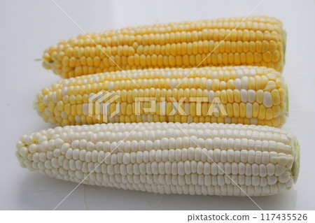 Sweet corn: nutritious, sweet and delicious freshly picked corn 117435526