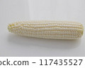 White corn: nutritious, sweet and delicious freshly picked corn 117435527