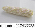 White corn: nutritious, sweet and delicious freshly picked corn 117435528