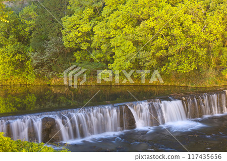 Serenity of the River 117435656