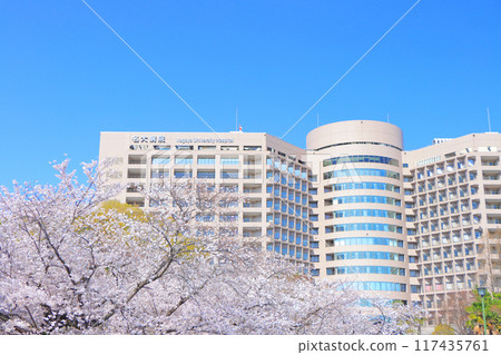 愛知縣鶴舞公園和名古屋大學醫院的櫻花 117435761