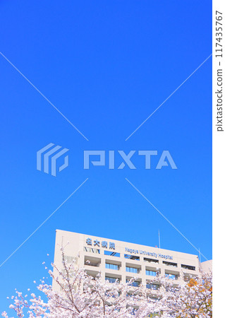 愛知縣鶴舞公園和名古屋大學醫院的櫻花 愛知縣鶴舞公園和名古屋大學醫院的櫻花 117435767