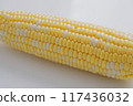 Sweet corn: nutritious, sweet and delicious freshly picked corn 117436032