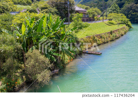 宮崎縣日向市的密密河,有香蕉樹般的芭蕉樹和翡翠河水 宮崎縣日向市的密密河,有香蕉樹般的芭蕉樹和翡翠河水 117436204