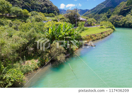 宮崎縣日向市的密密河，有香蕉樹般的芭蕉樹和翡翠河水 117436209