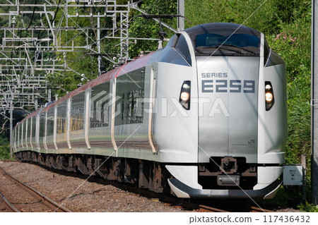 JR東日本E259系特快列車 JR東日本E259系特快列車 117436432