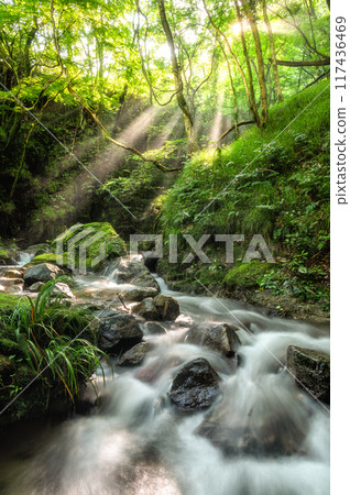 Shimotaki Falls of Yokokawa in the early morning in Hitachiota City, Ibaraki Prefecture Shimotaki Falls of Yokokawa in the early morning in Hitachiota City, Ibaraki Prefecture 117436469