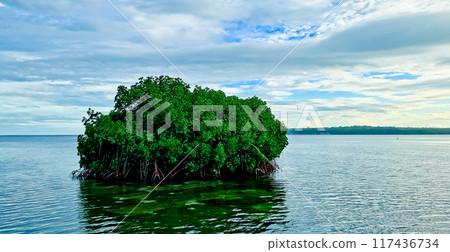 beautiful view of the tropical beach of Osi Island, West Seram, Maluku 117436734