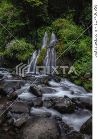 Toryu Falls, Hokuto City, Yamanashi Prefecture, with fresh greenery 117436959
