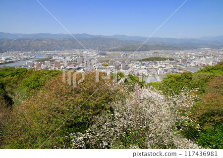 View from Godaisan Park and the cityscape of Kochi (Kochi Prefecture, Kochi City) View from Godaisan Park and the cityscape of Kochi (Kochi Prefecture, Kochi City) 117436981