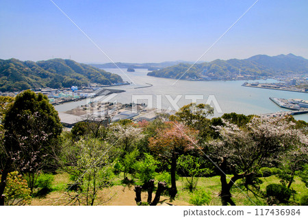 View from Godaisan Park and the cityscape of Kochi (Kochi Prefecture, Kochi City) 117436984