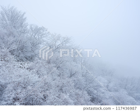 Mountains covered in frost and mist 117436987