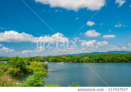 Yodo River summer scenery Yodo River summer scenery 117437037
