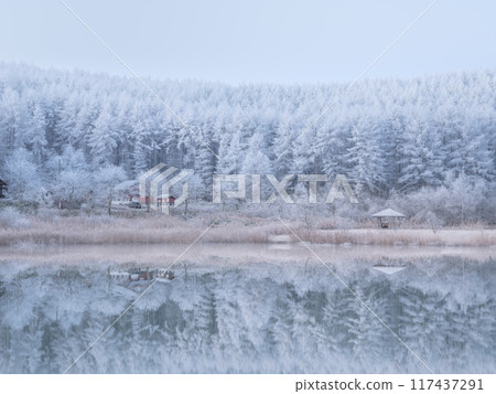 Nagano Hijiri Plateau_A magnificent view of the lake and frost Nagano Hijiri Plateau_A magnificent view of the lake and frost 117437291
