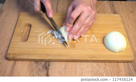 Slicing Onion on Cutting Board 117438124
