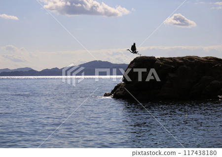 A grey heron taking off from the rocks A grey heron taking off from the rocks 117438180