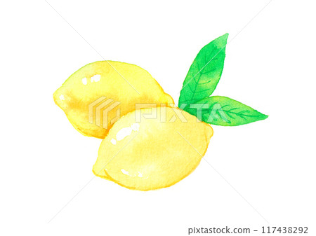 Lemon watercolor illustration 117438292