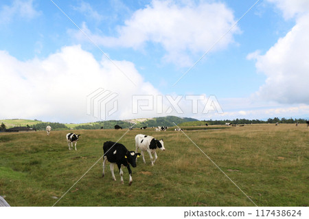 美原農場的夏日風景 117438624