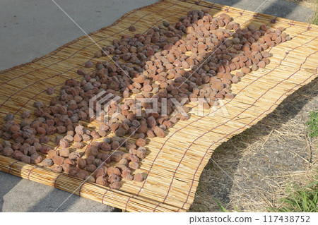 Pickled plums, sun-dried 117438752