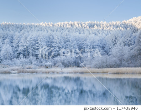 Nagano Hijiri Plateau_A magnificent view of the lake and frost 117438940