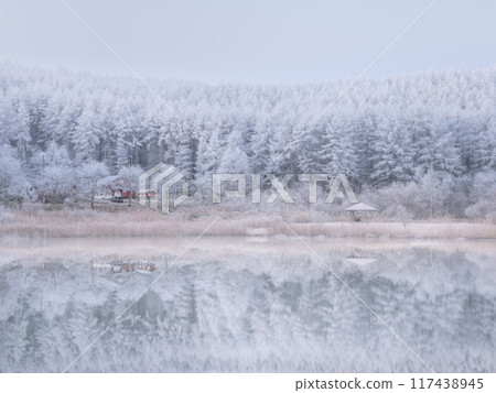 長野聖高地_湖與白霜的壯麗景色 117438945