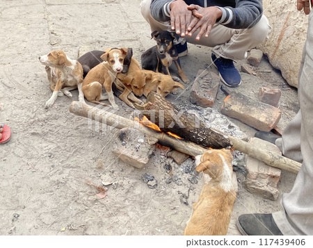 Warmth on a cold day It's so cold 117439406