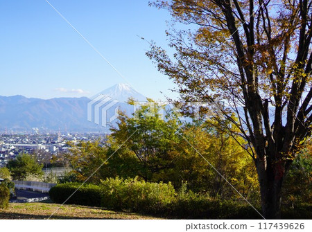秋天從郊區看到的富士山 117439626