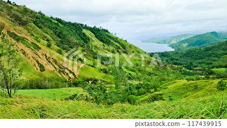 beautiful view of green mountains with reeds 117439915
