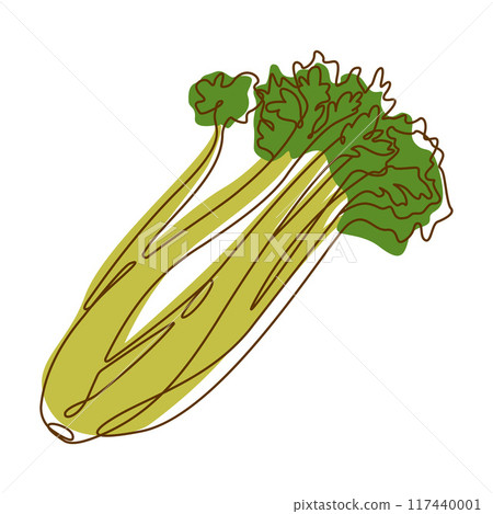 Celery Leaf Aromatic Vegetable Spice Condiment in Line Art Style 117440001