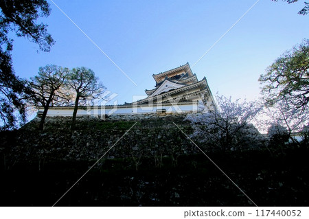 高知城/城堡(高知縣/高知市) 高知城/城堡(高知縣/高知市) 117440052