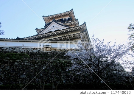 高知城/城堡（高知縣/高知市） 117440053