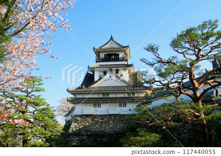 高知城/城堡(高知縣/高知市) 高知城/城堡(高知縣/高知市) 117440055